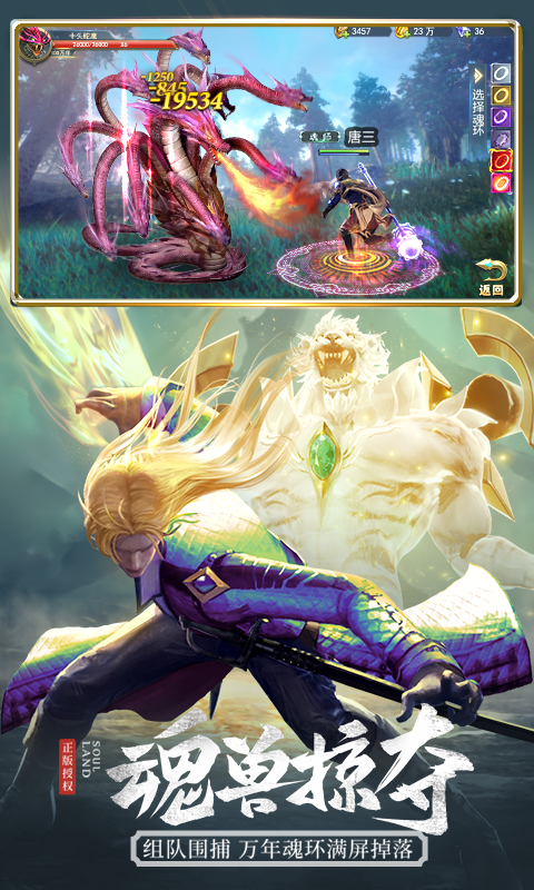 斗罗大陆游戏截图4